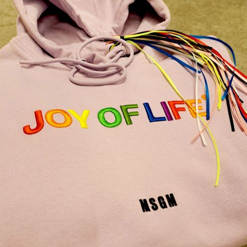 oversized Embroidered Hoodie Joy Of Life