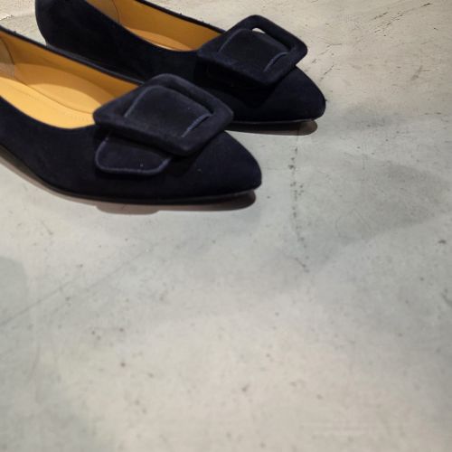 Pointed Suede Ballerina